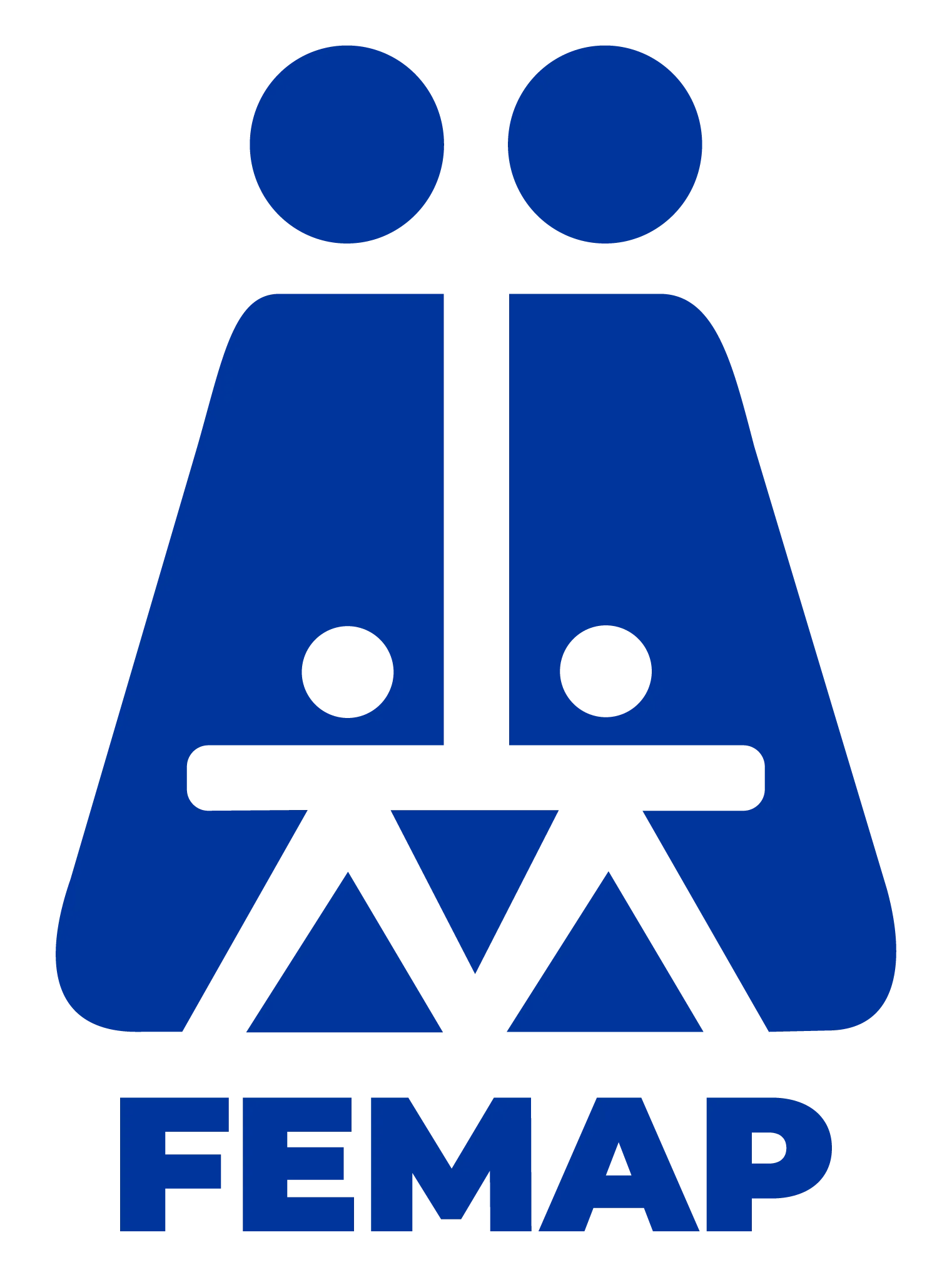 FEMAP